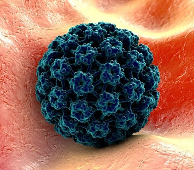 مدل سه بعدی HPV ایجاد زگیل در دست